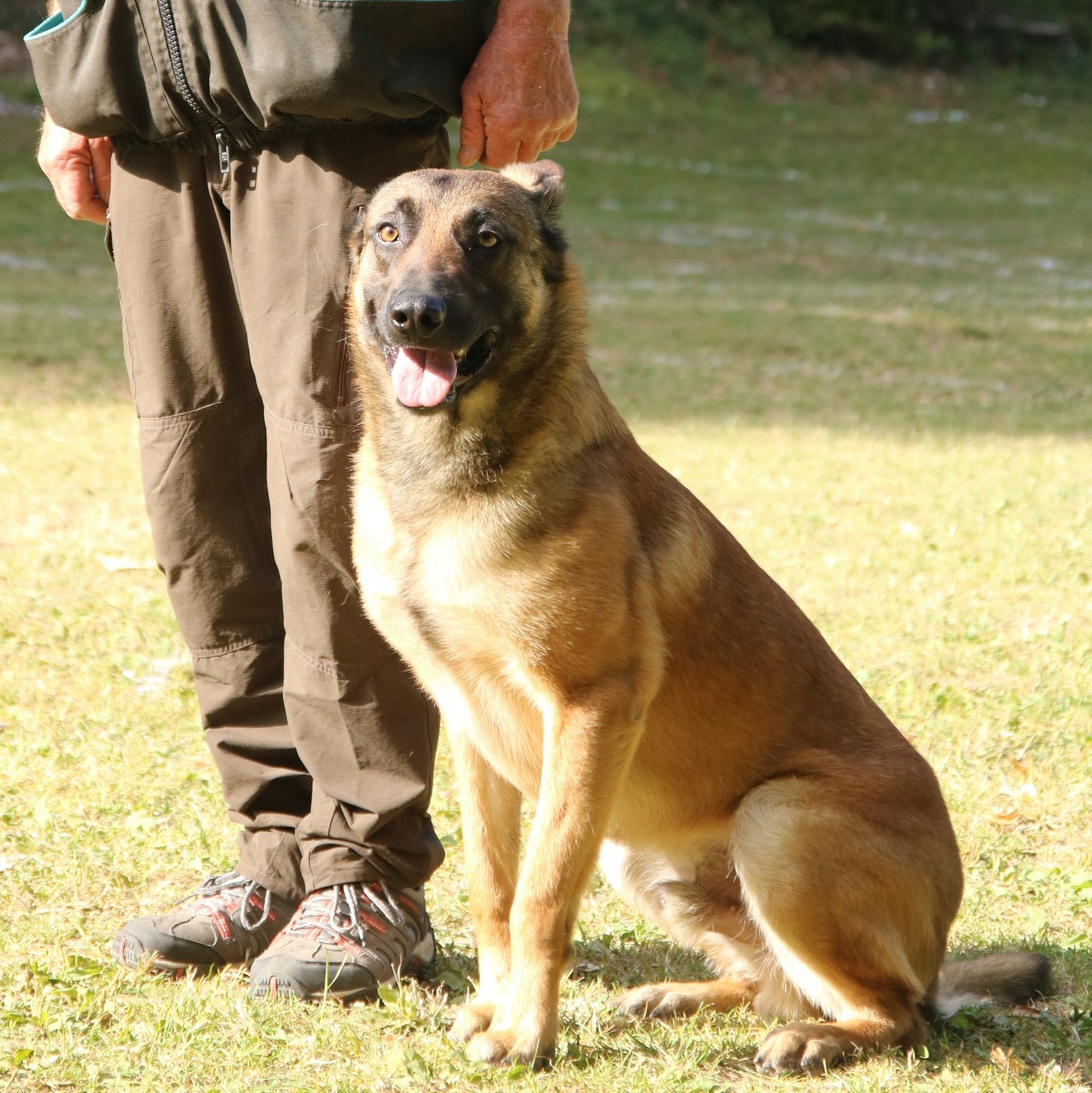 Niky de la vallée de la Soummame